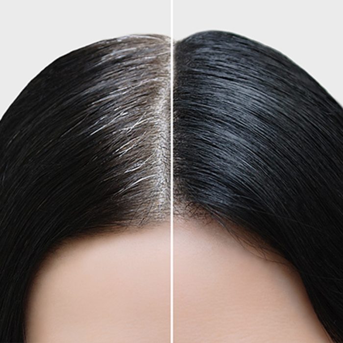 Single Process Color (Root Touch-up) - Image 3